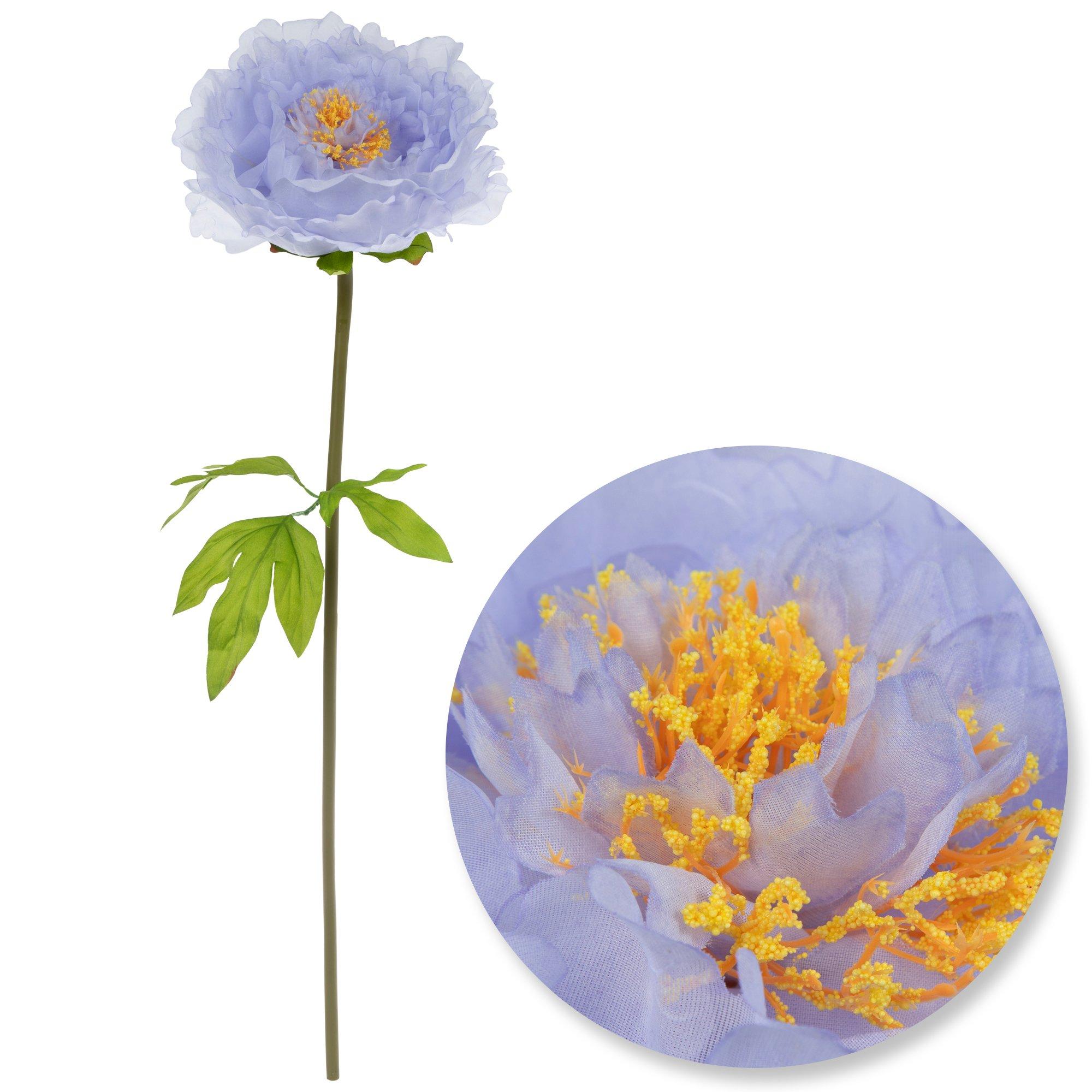 Sheer Peony Stem | Hobby Lobby | 6297592