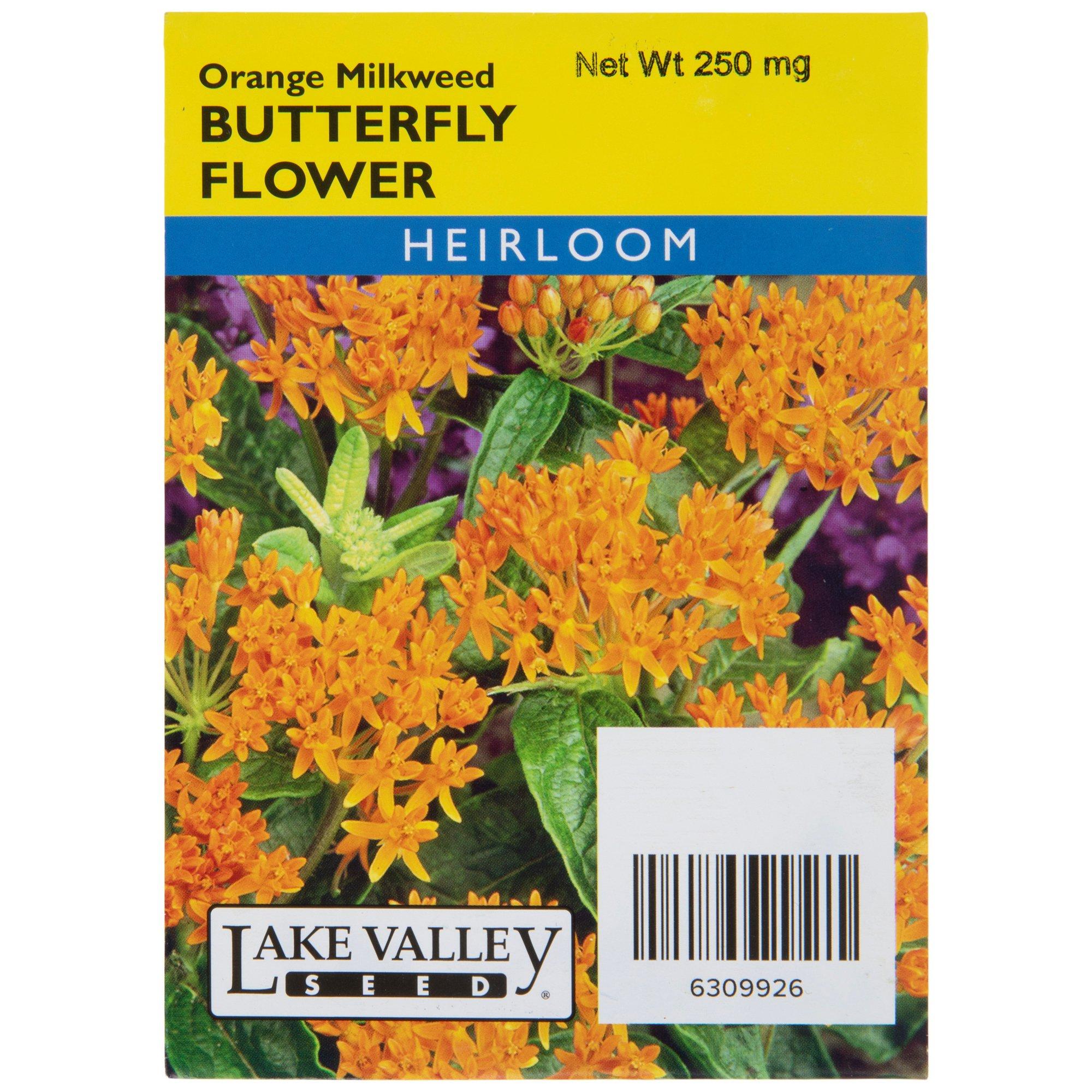 Orange Milkweed Butterfly Flower Seed Packet