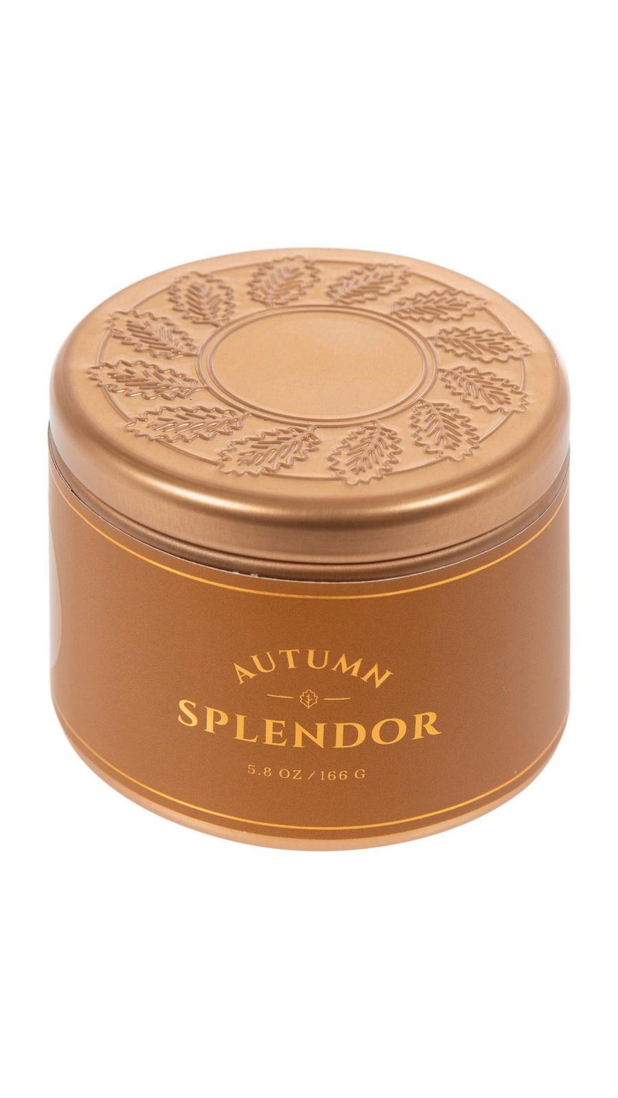 Autumn Splendor Tin Candle | Hobby Lobby | 6320907