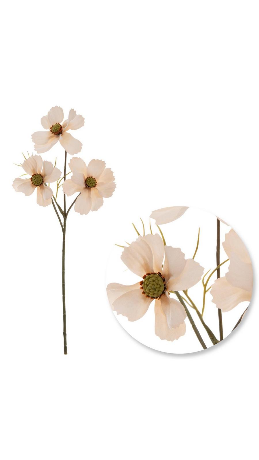 Cosmos Pick | Hobby Lobby | 6322655