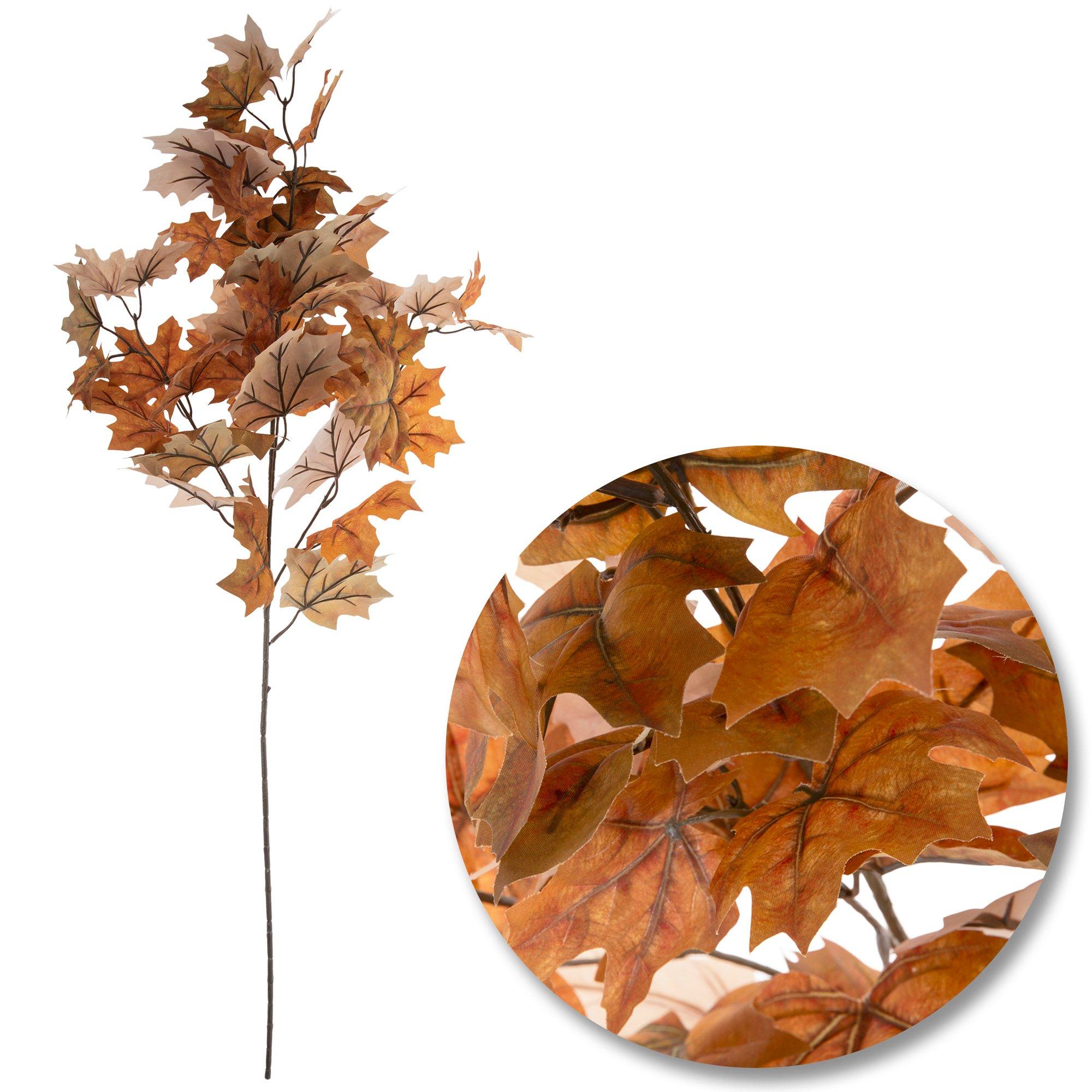 Selected Product Image