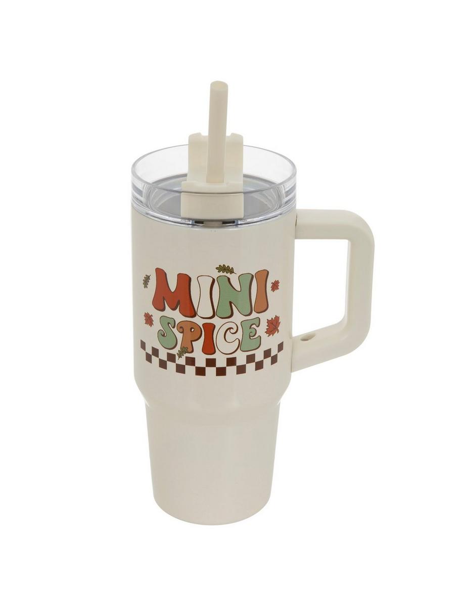 Mini Spice Stainless Steel Mini Tumbler | Hobby Lobby | 6326854
