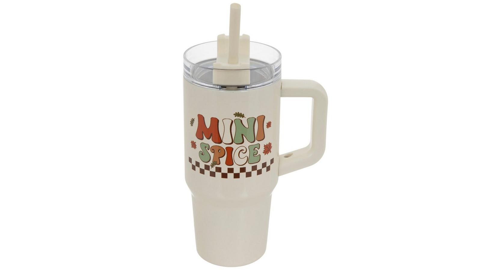Mini Spice Stainless Steel Mini Tumbler | Hobby Lobby | 6326854