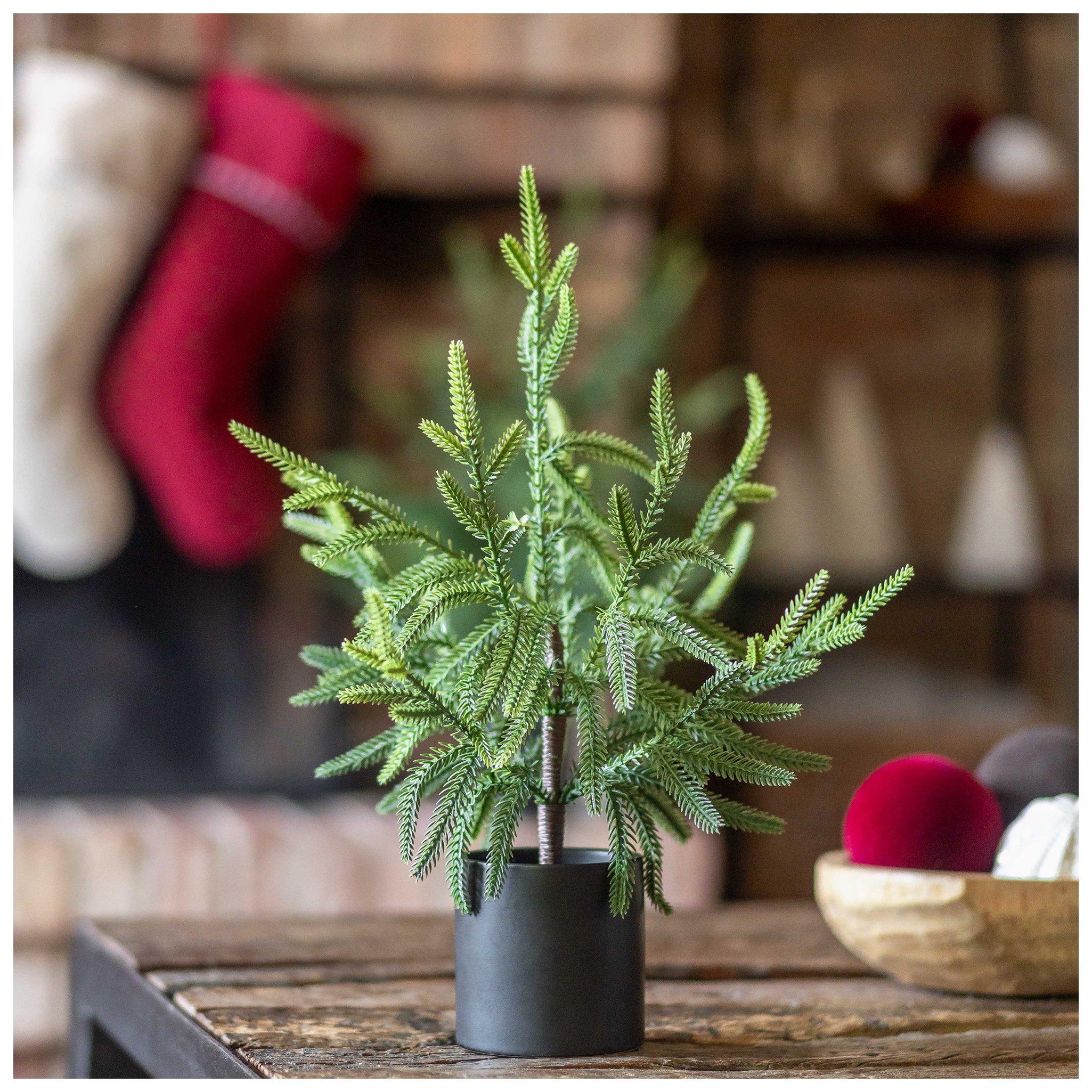 large tall plant pots Extra Large Caixa Planter main image 0
