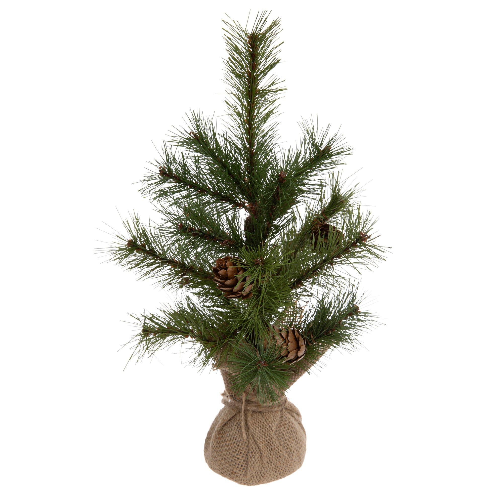 Selected Product Image