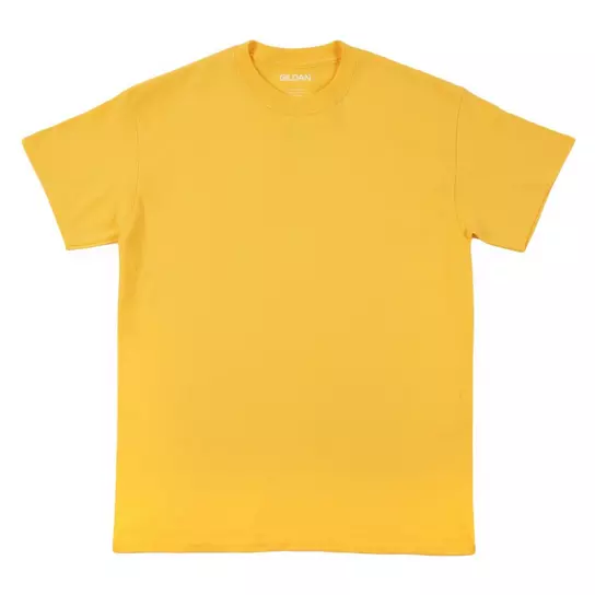 Adult T-Shirt | Hobby Lobby | 634261