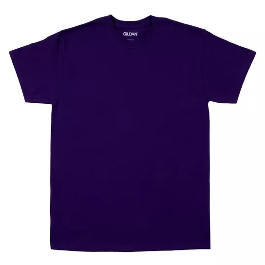 Adult T-Shirt | Hobby Lobby | 634717