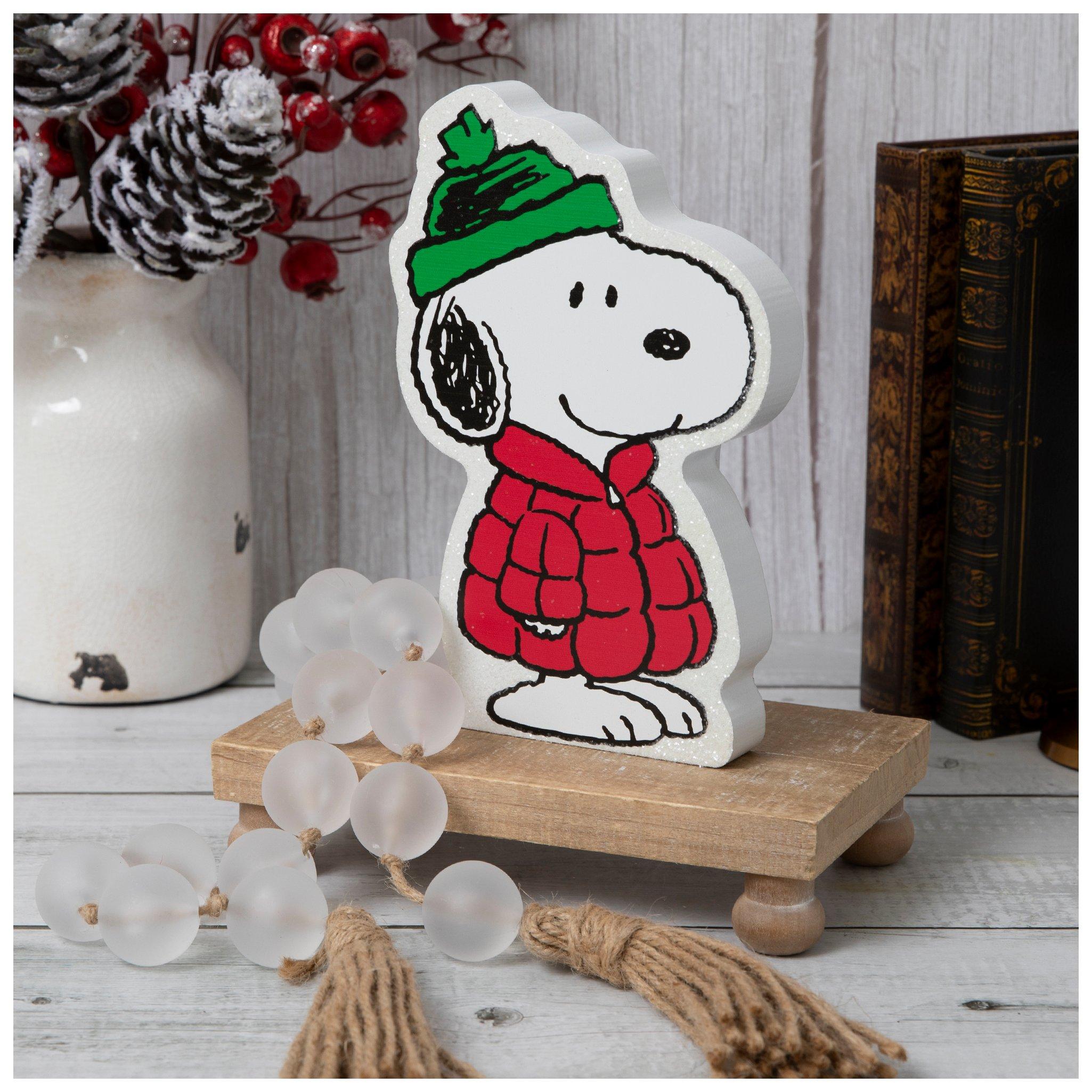 Snoopy & Woodstock Musical Snow Globe | Hobby Lobby | 6350623