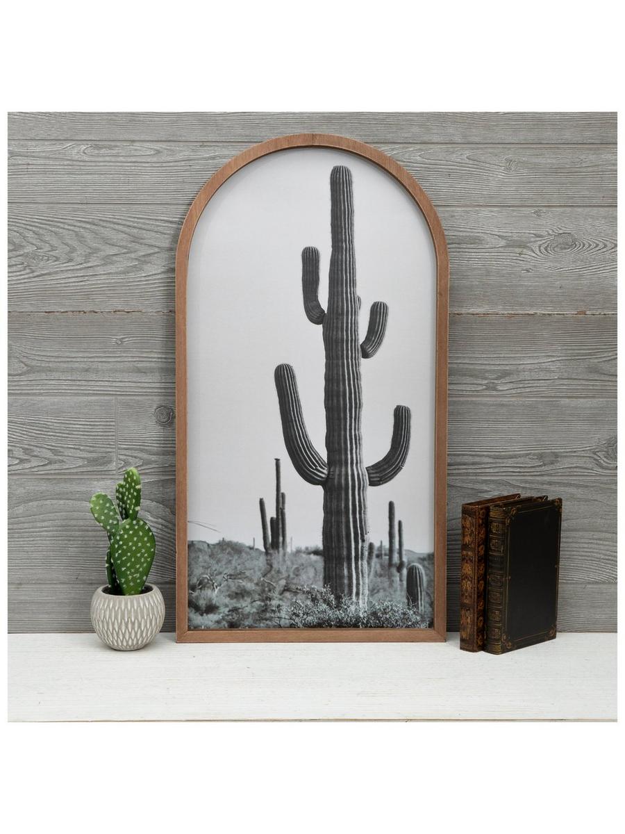 powdered san pedro cactus Buy San Pedro Cactus Phoenix, AZ | Echinopsis pachanoi main image 1