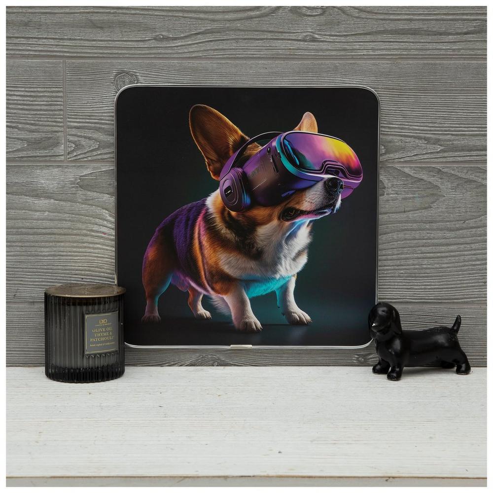 6371488-81259560-11242025-