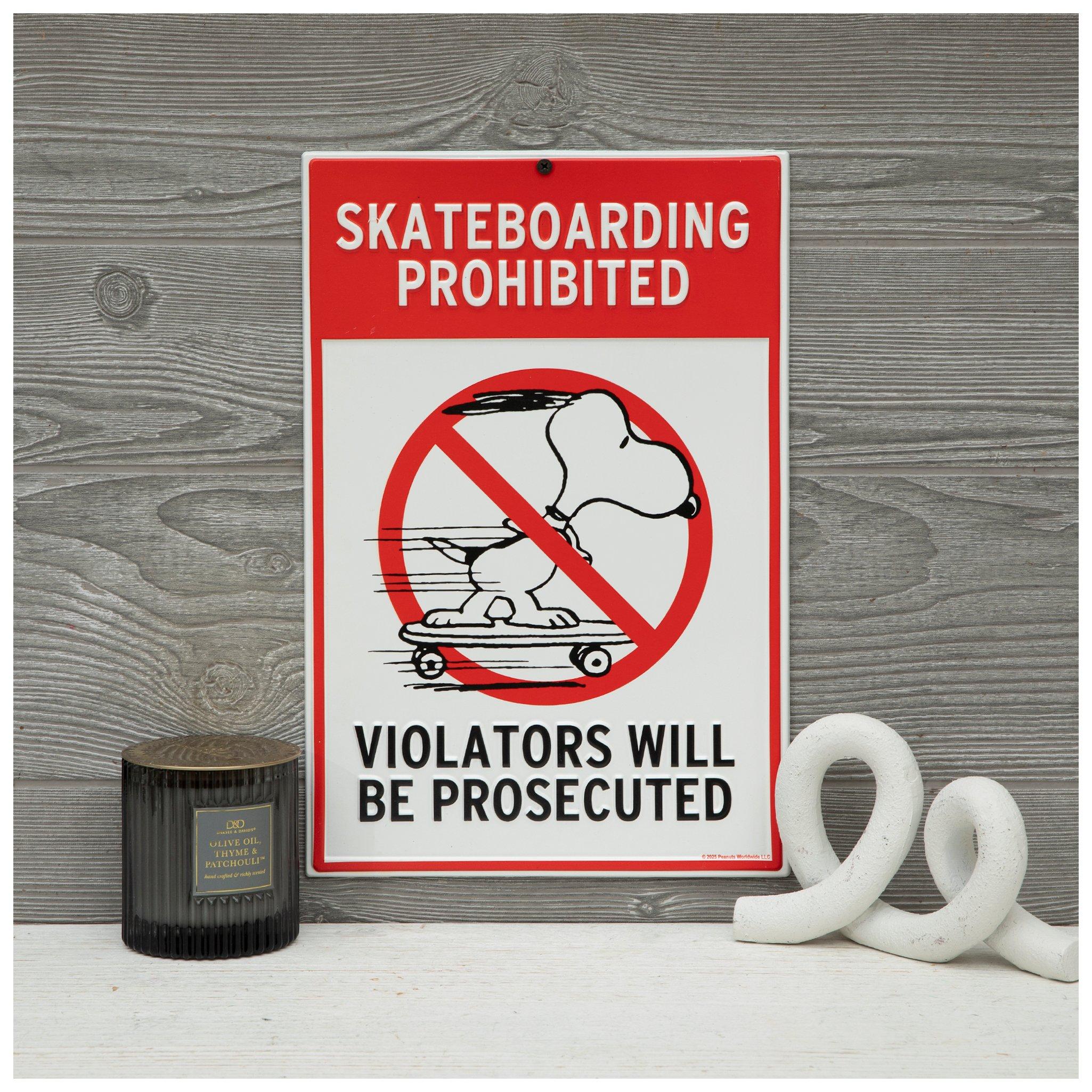 Snoopy Skateboarding Metal Sign | Hobby Lobby | 6378673