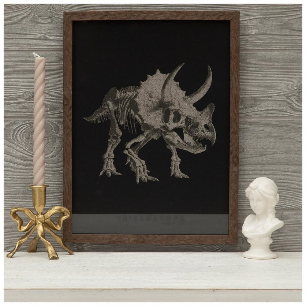Triceratops Skeleton Framed Wall Decor | Hobby Lobby | 6380109
