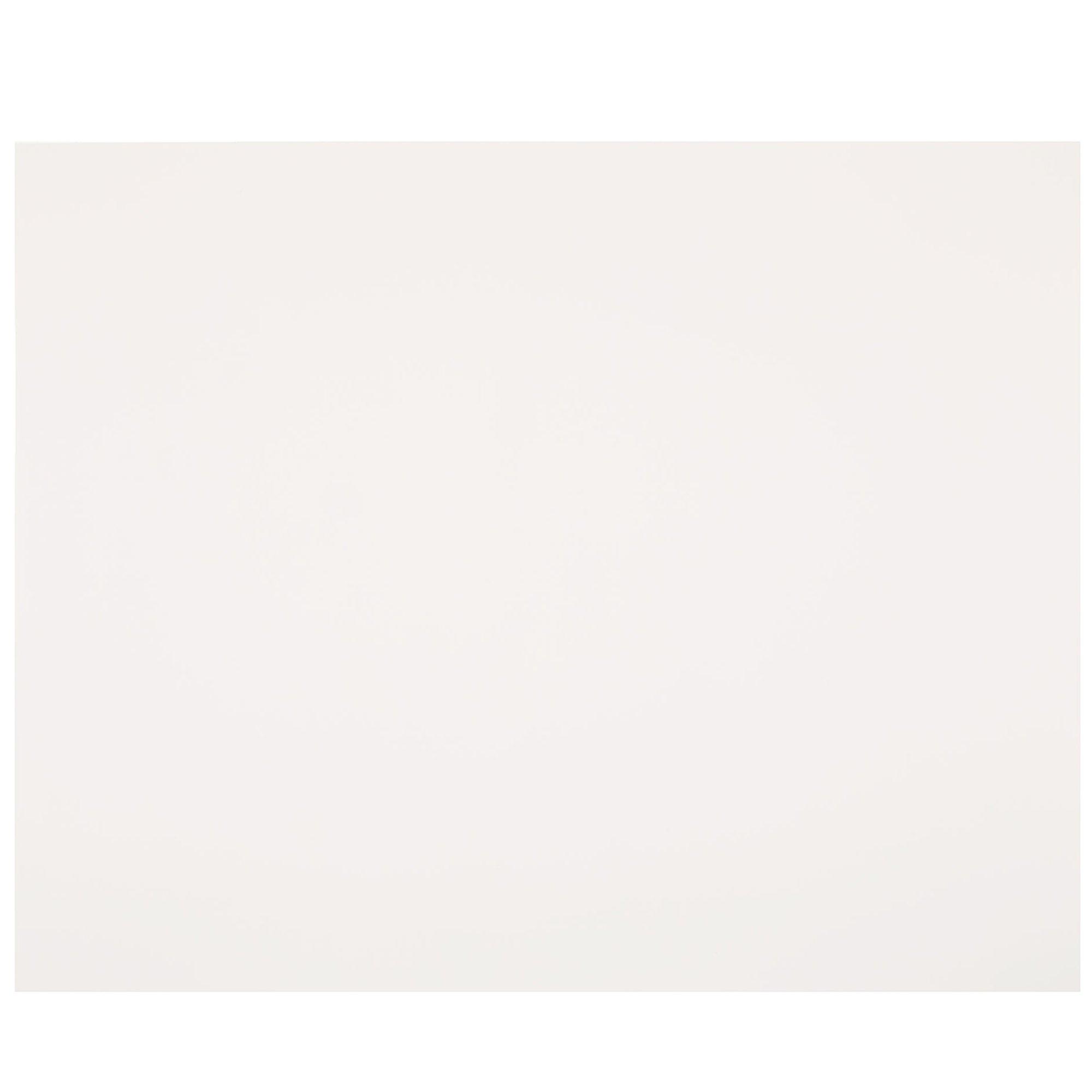 White Poster Boards 22" x 28" Hobby Lobby 639328
