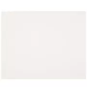 White Poster Boards - 22" x 28"