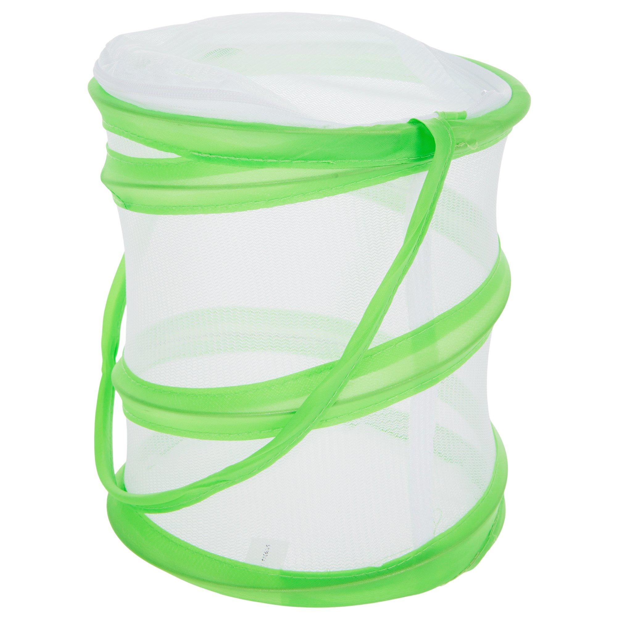 Folding Insect Cage | Hobby Lobby | 6394332