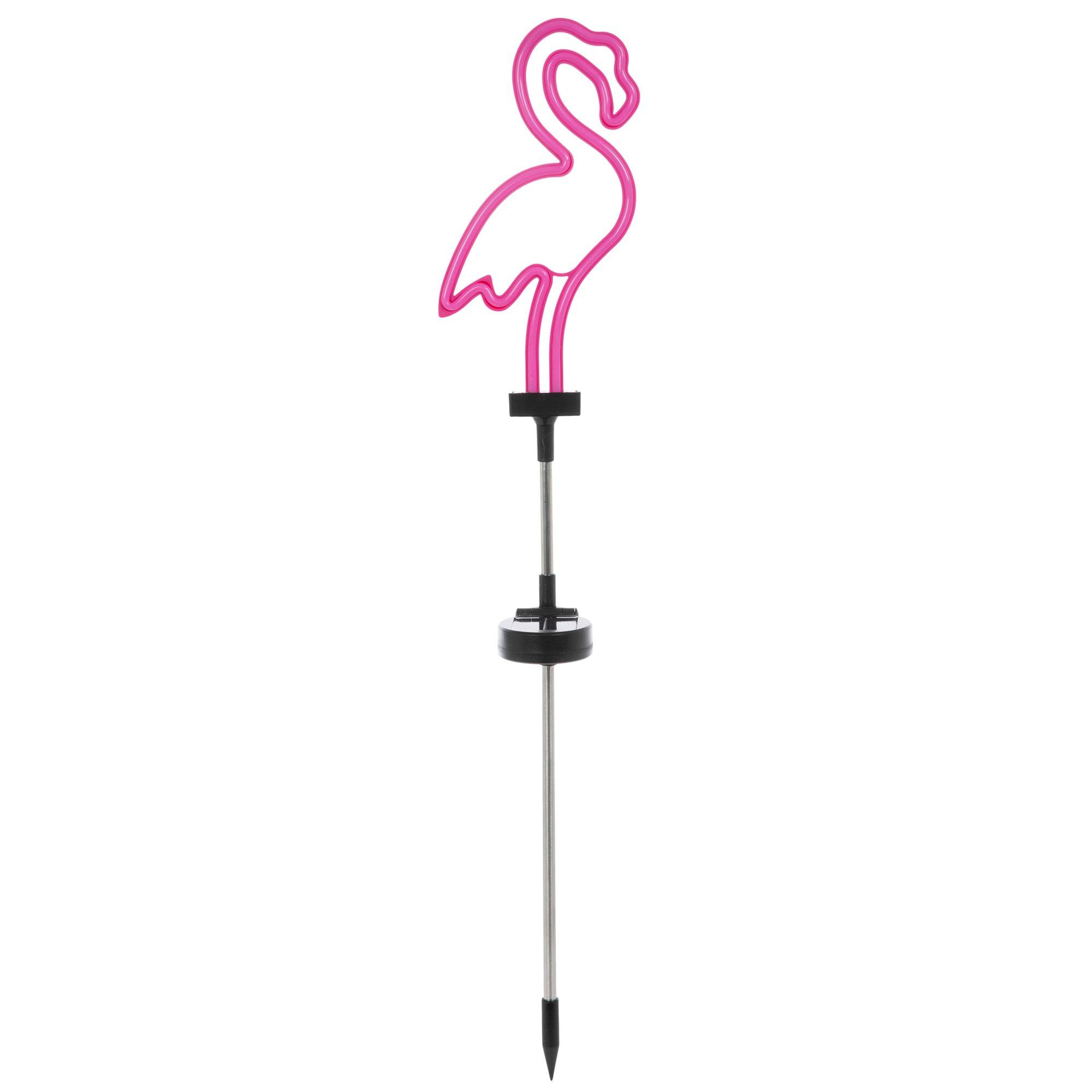 Flamingo\