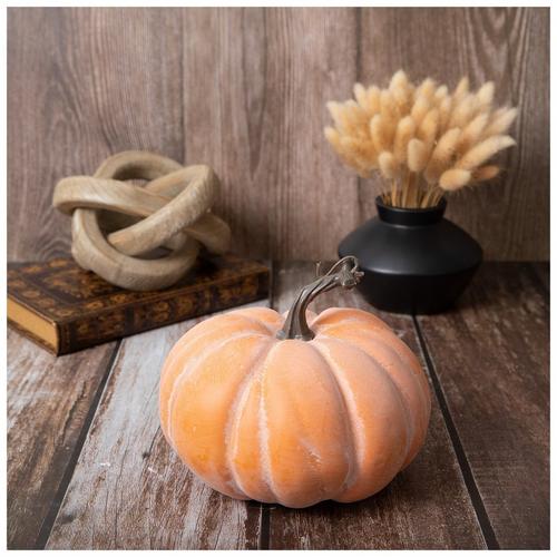 White - Short & Plump Pumpkin