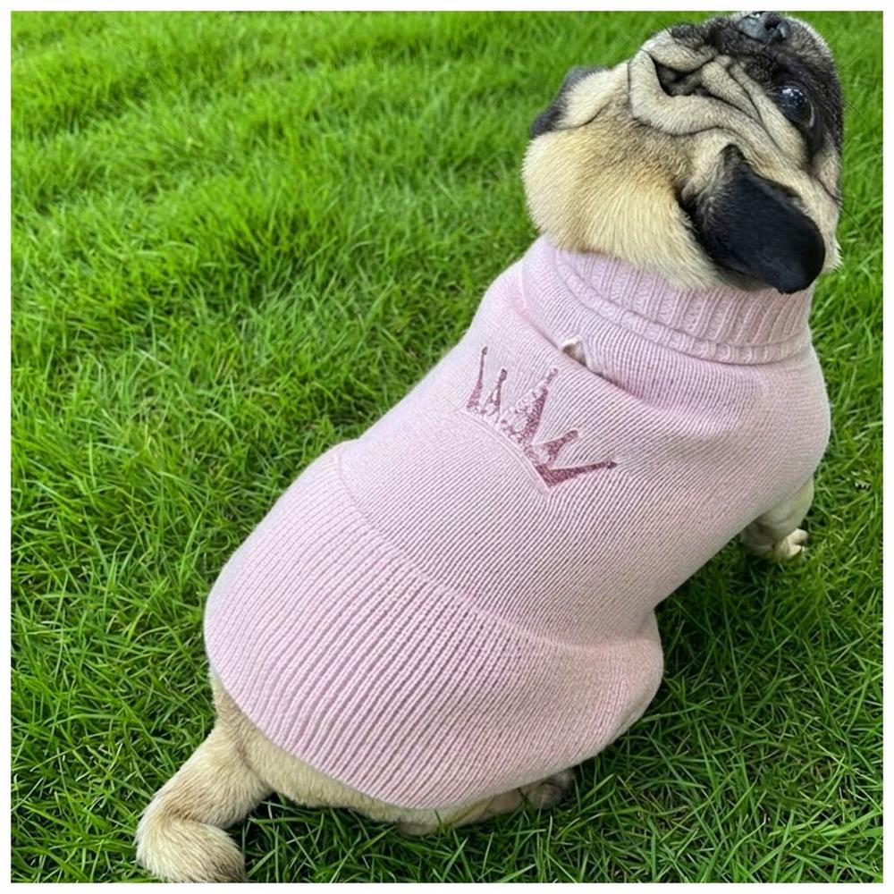 Pink Crown Dog Sweater Dress | Hobby Lobby | 6444437