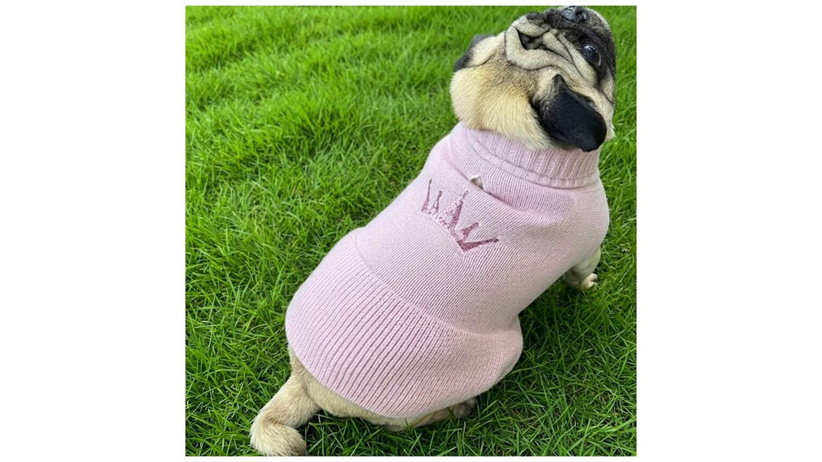 Pink Crown Dog Sweater Dress | Hobby Lobby | 6444437