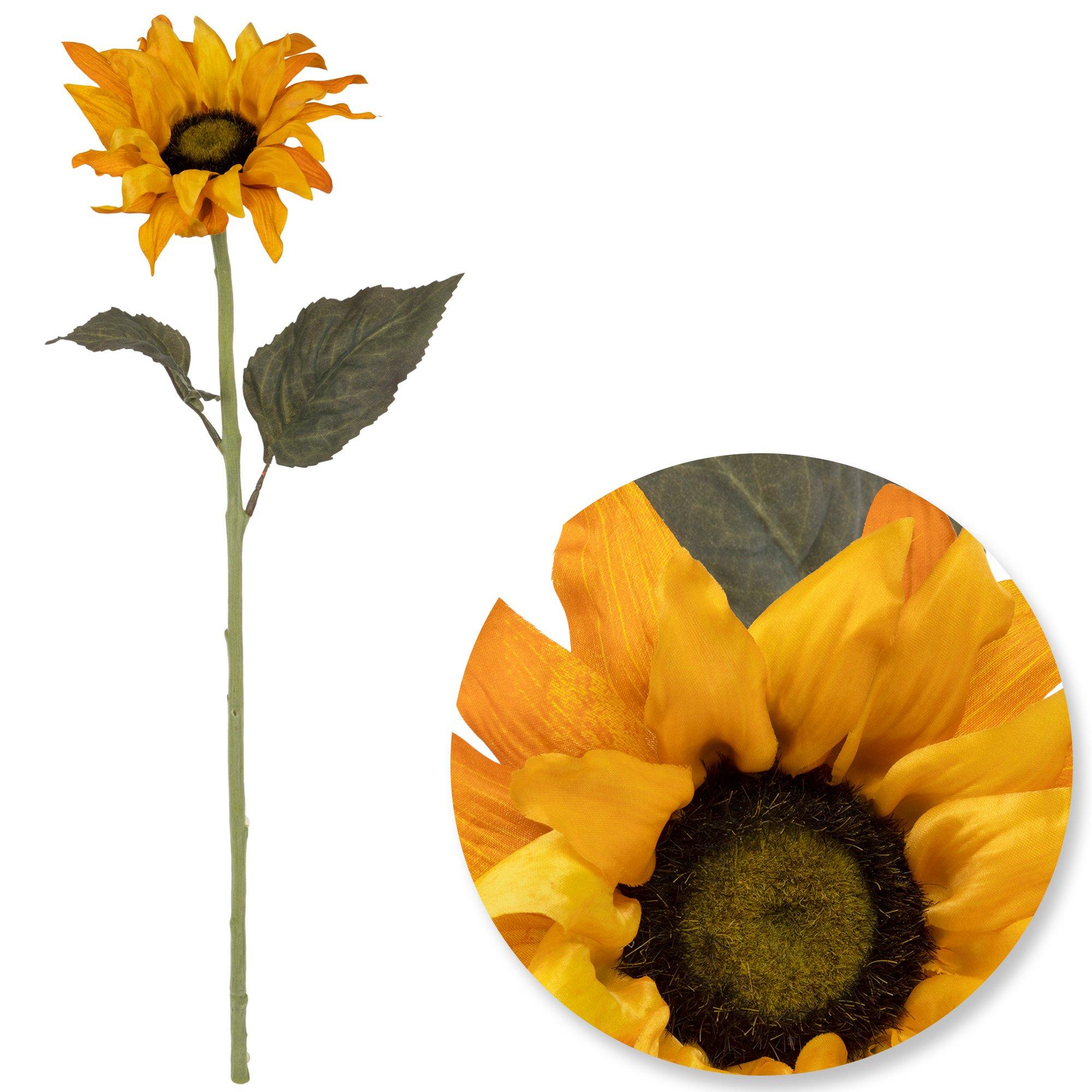 Sunflower Stem | Hobby Lobby | 6494231