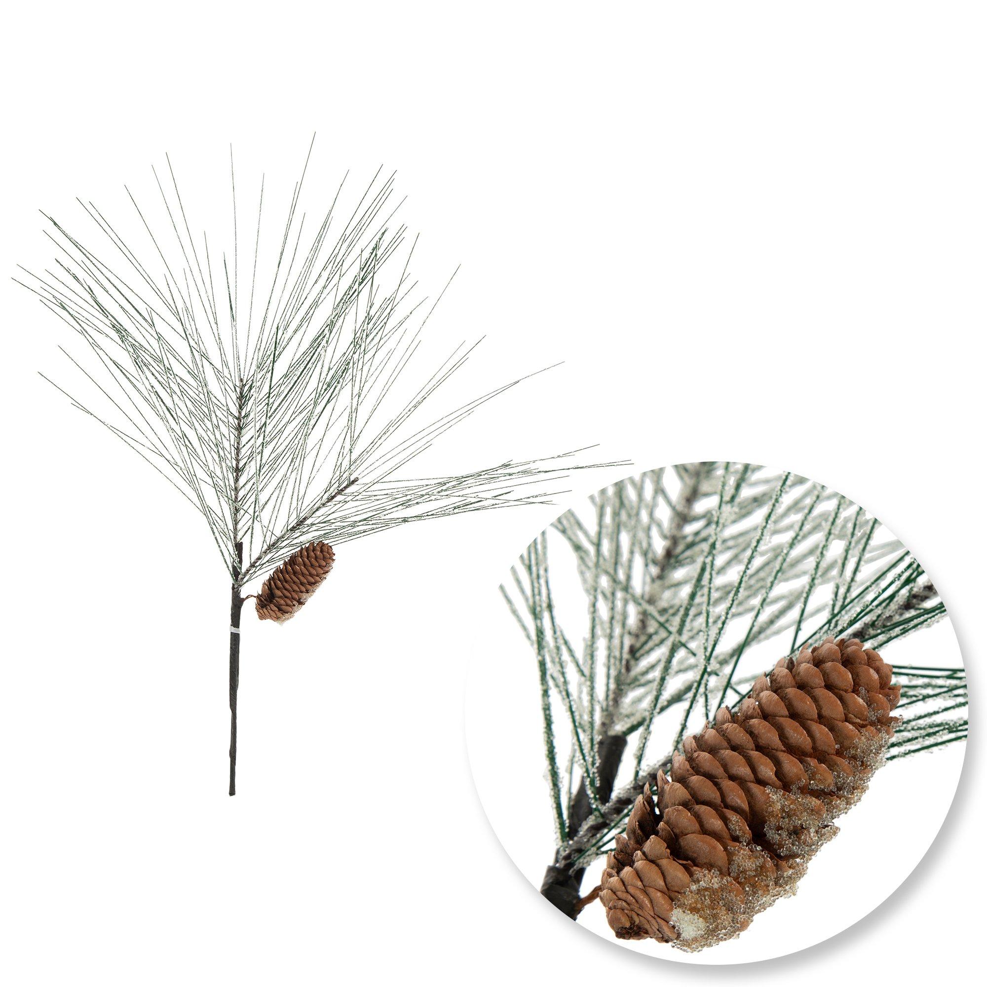 Selected Product Image