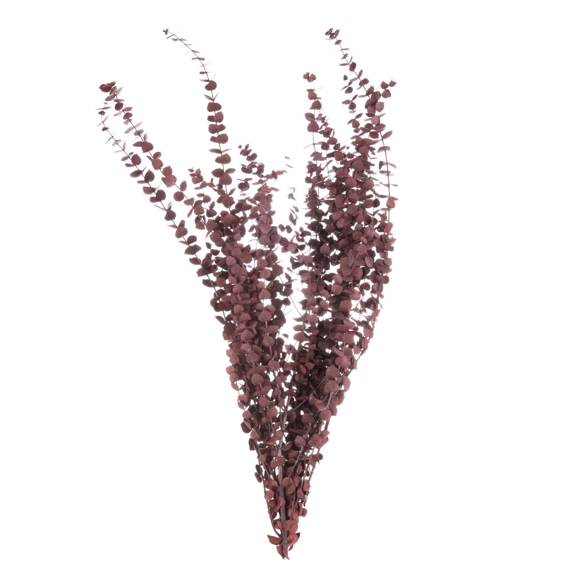 Premium Wash Eucalyptus Hobby Lobby 652610