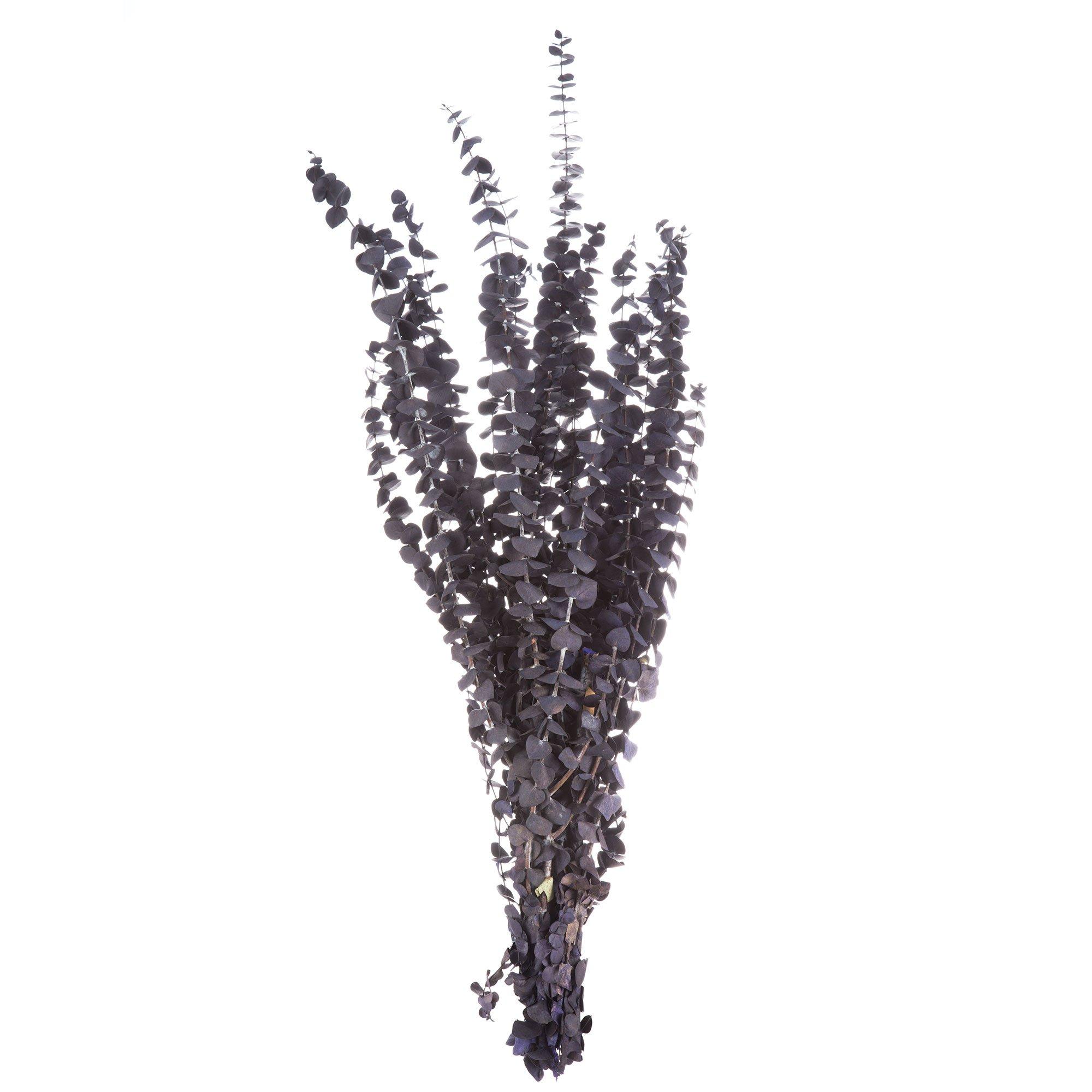 Selected Product Image