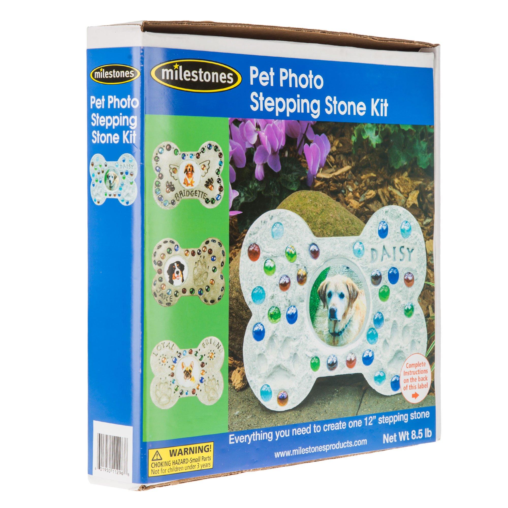 Perfect Craft Cast & Paint Customizable Stepping Stone Kit - SD Toyz  (Christian Toys and Gifts at )