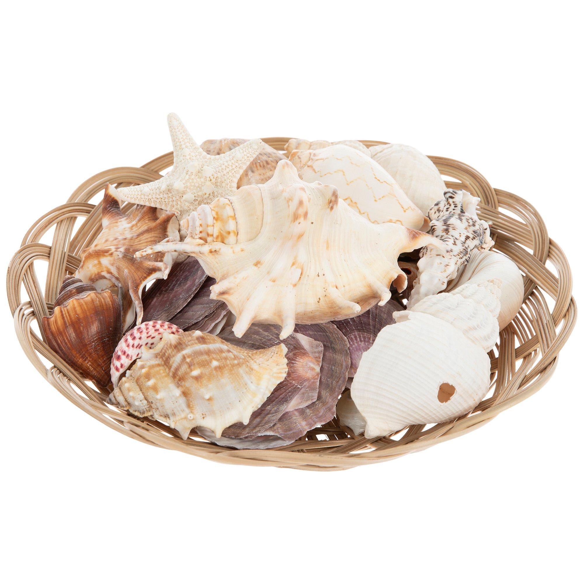 Selected Product Image