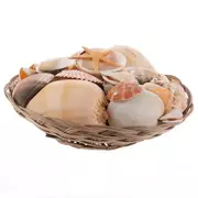 Basket Of Shells