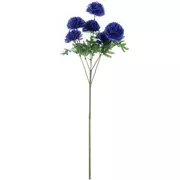 Blue Cornflower Stem