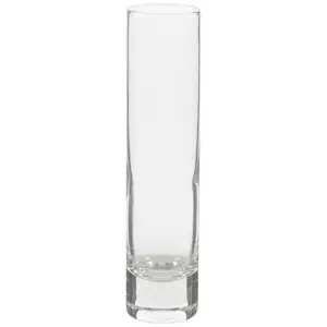 Weighted Cylinder Glass Bud Vase