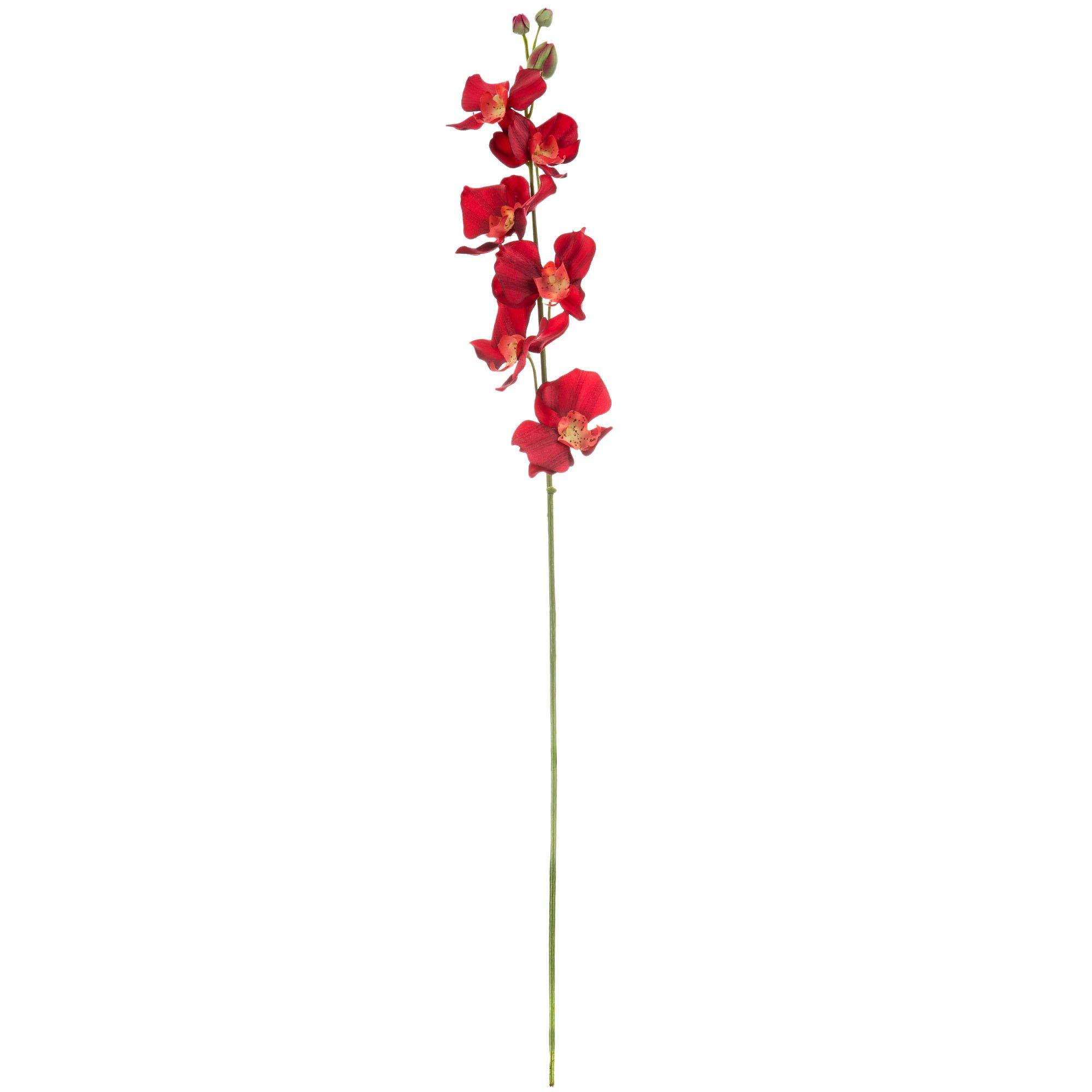 Phalaenopsis Orchid Stem Hobby Lobby 685818