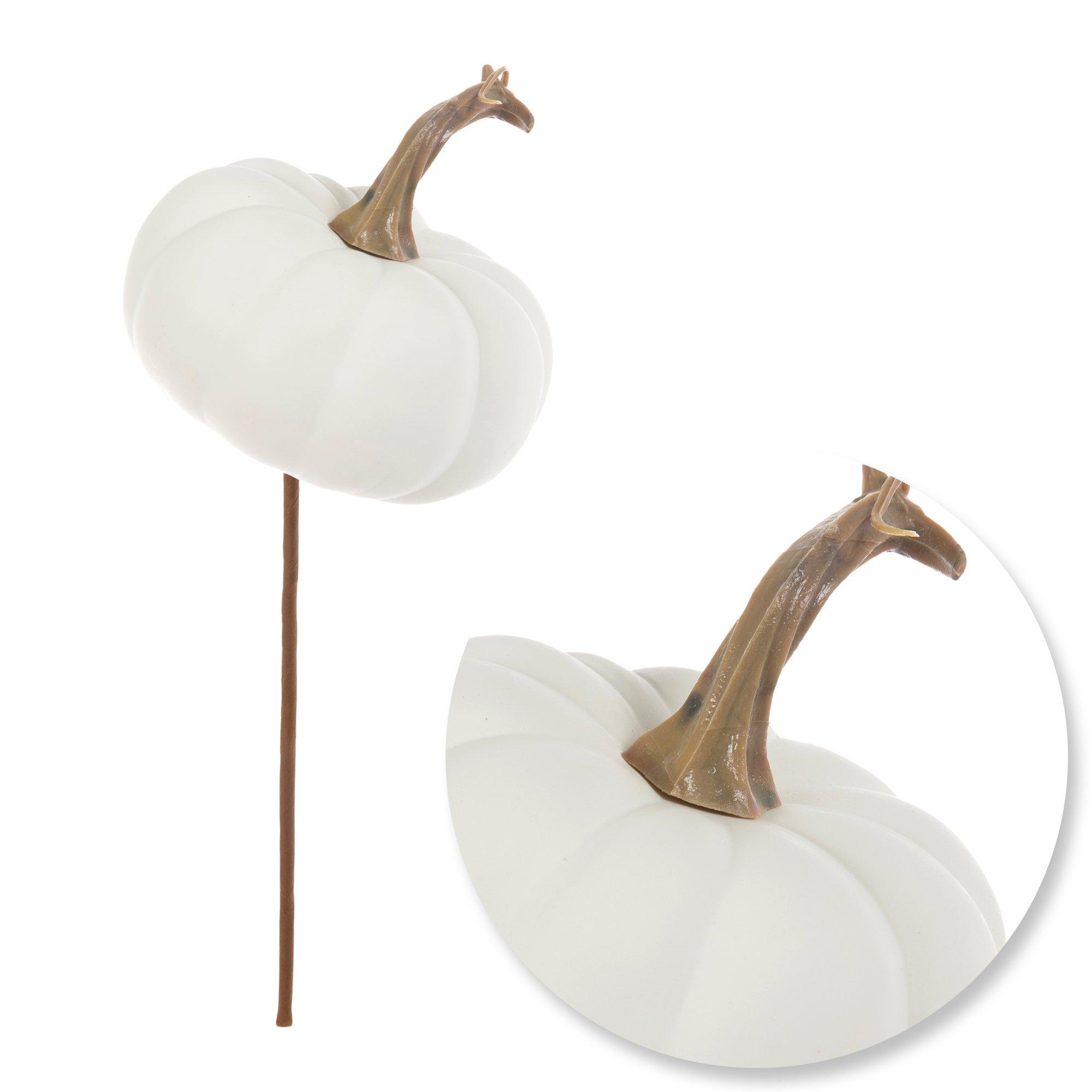 Selected Product Image