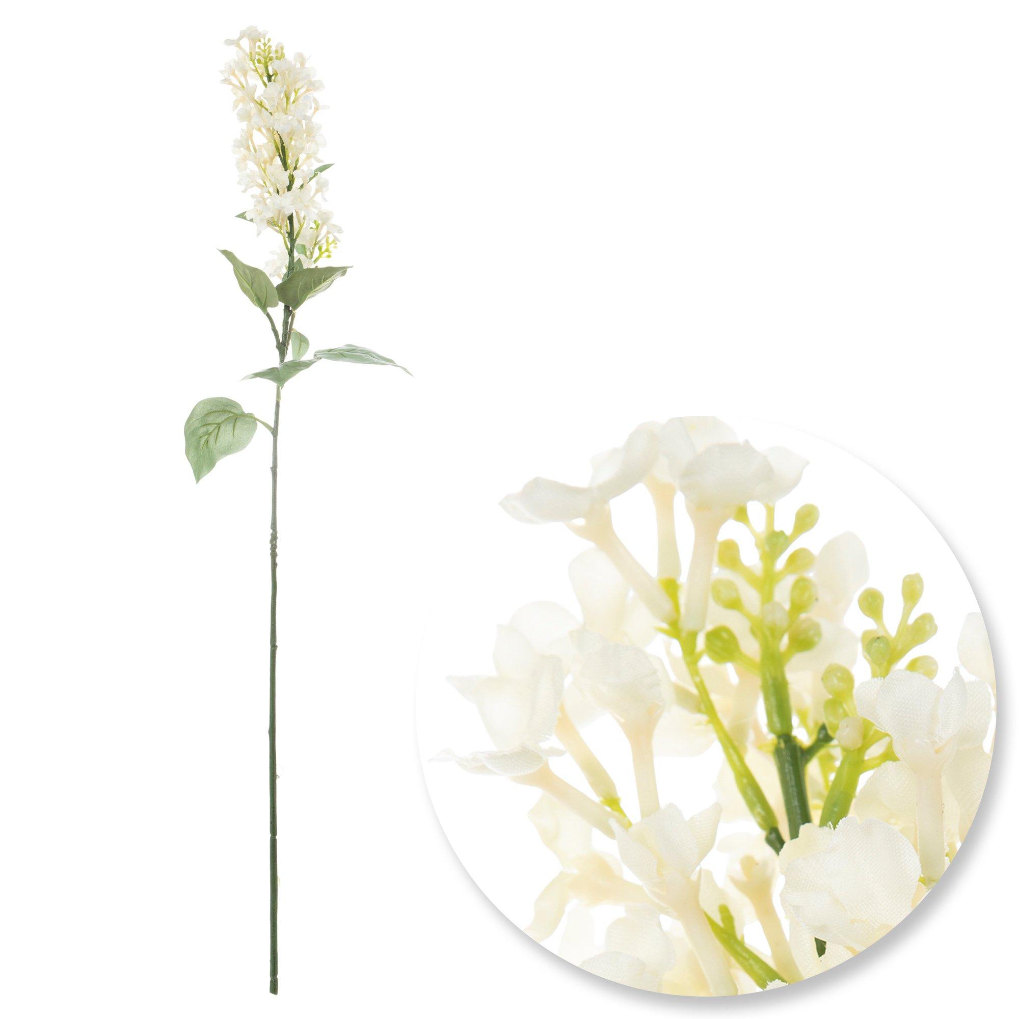 Selected Product Image