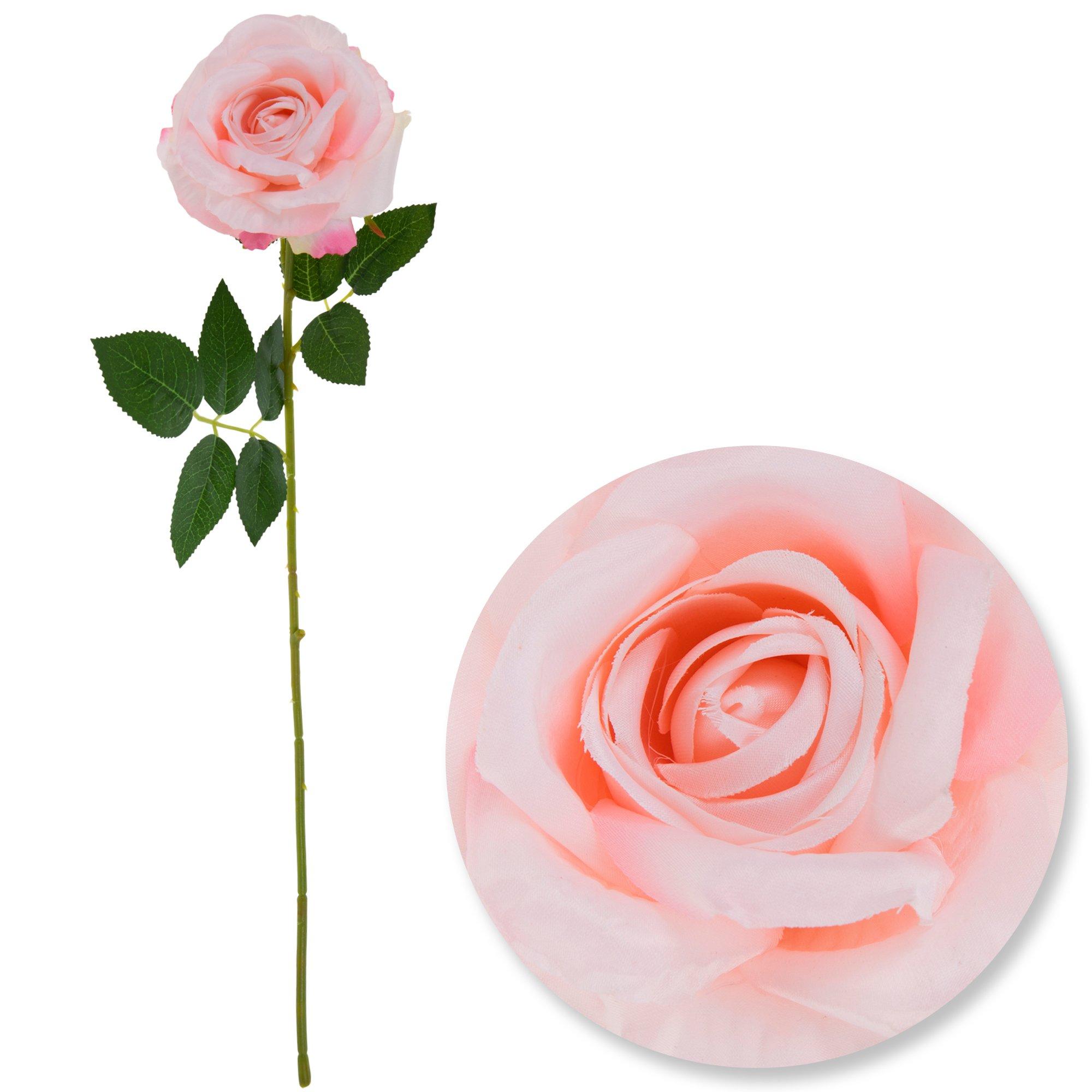 Selected Product Image