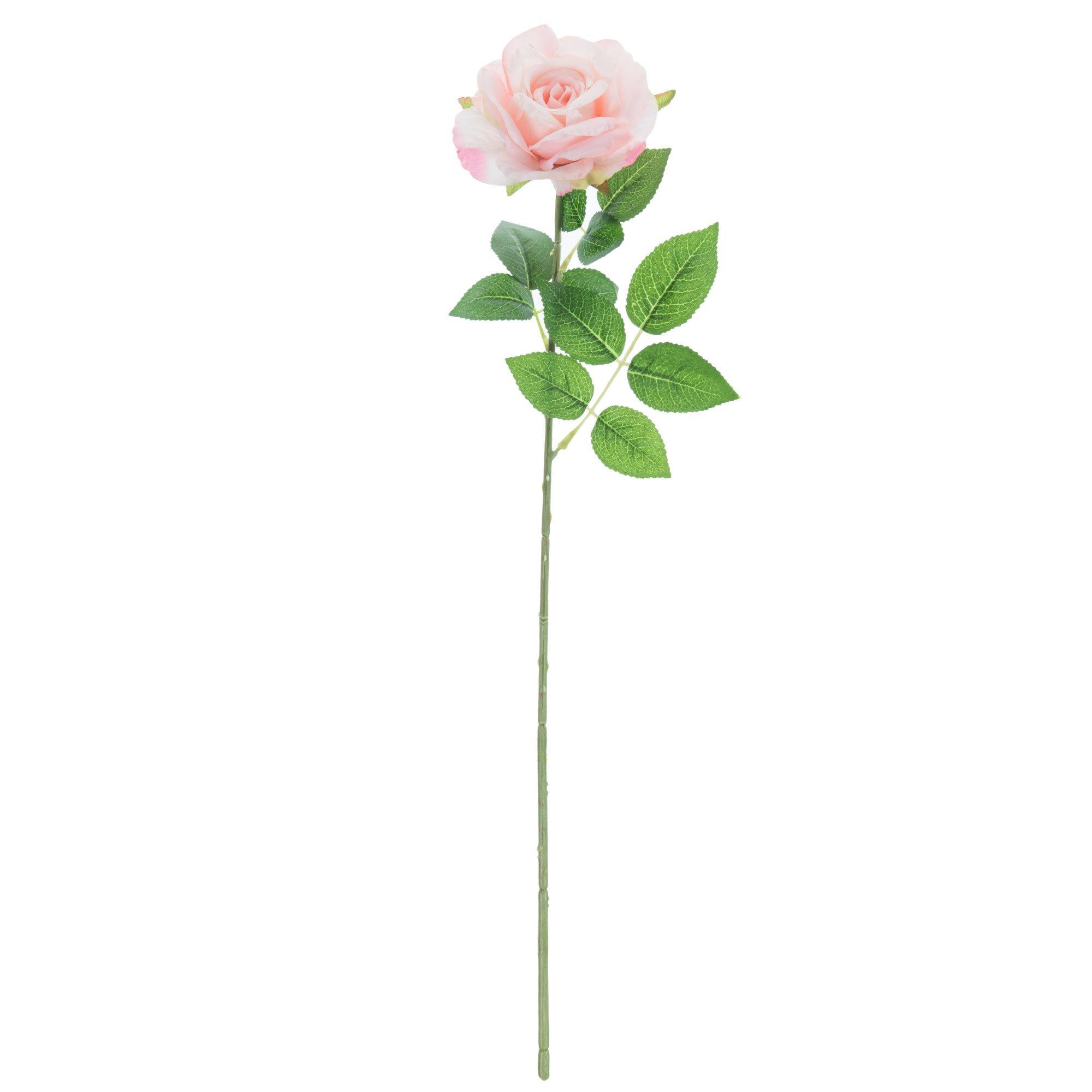 Curled Rose Stem | Hobby Lobby | 698761