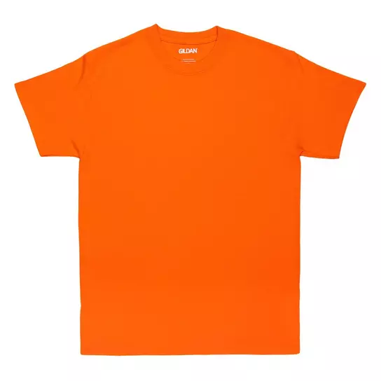 Adult T-Shirt | Hobby Lobby | 709600