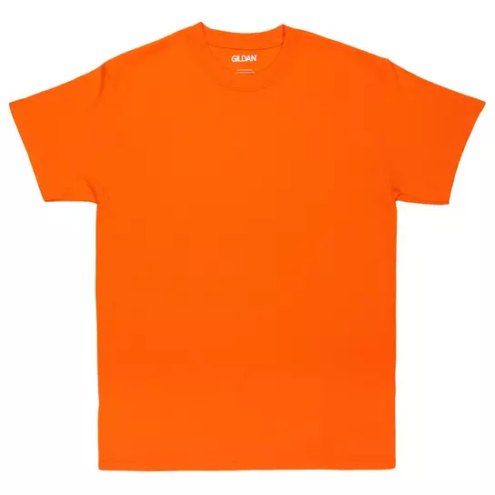 Adult T-Shirt | Hobby Lobby | 709725