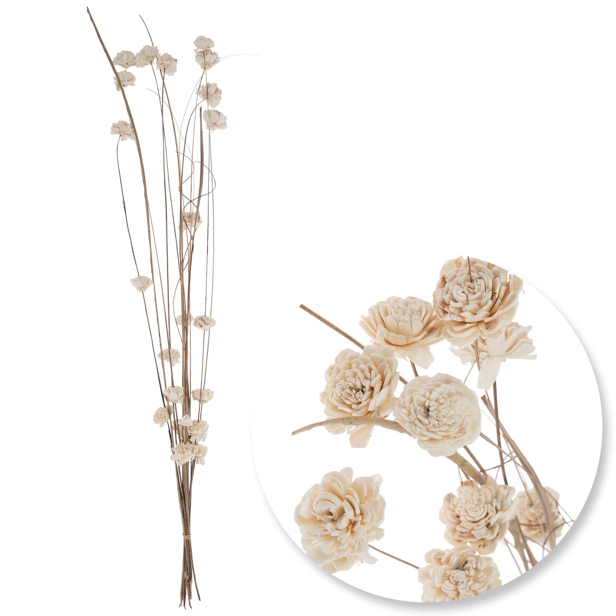 Bleached Sola Flowers On Natural Ting Ting | Hobby Lobby | 719468