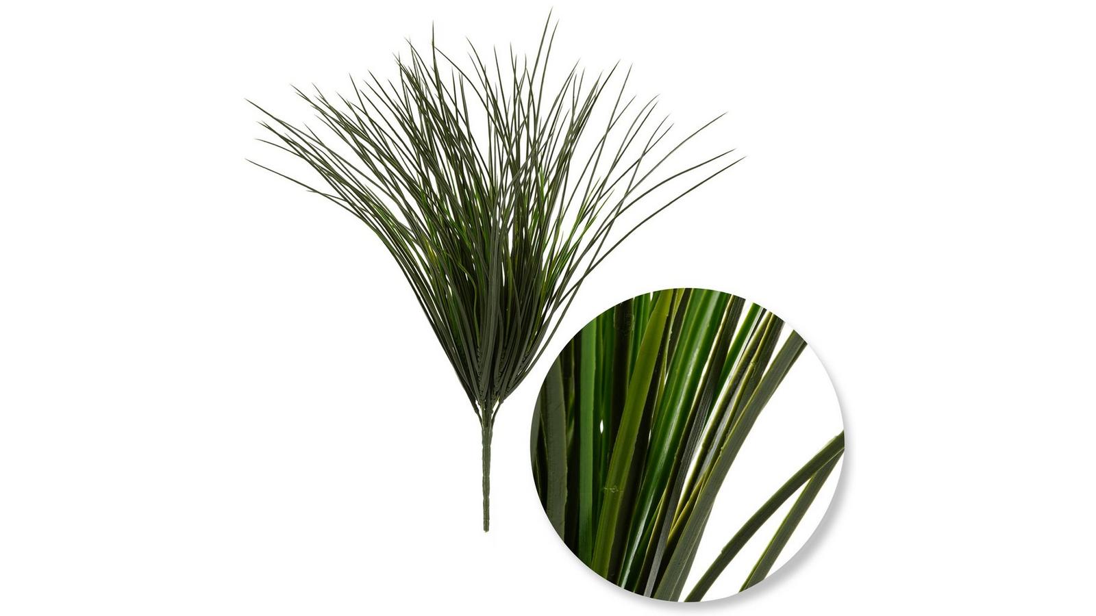 Monkey Grass Bush | Hobby Lobby | 726505