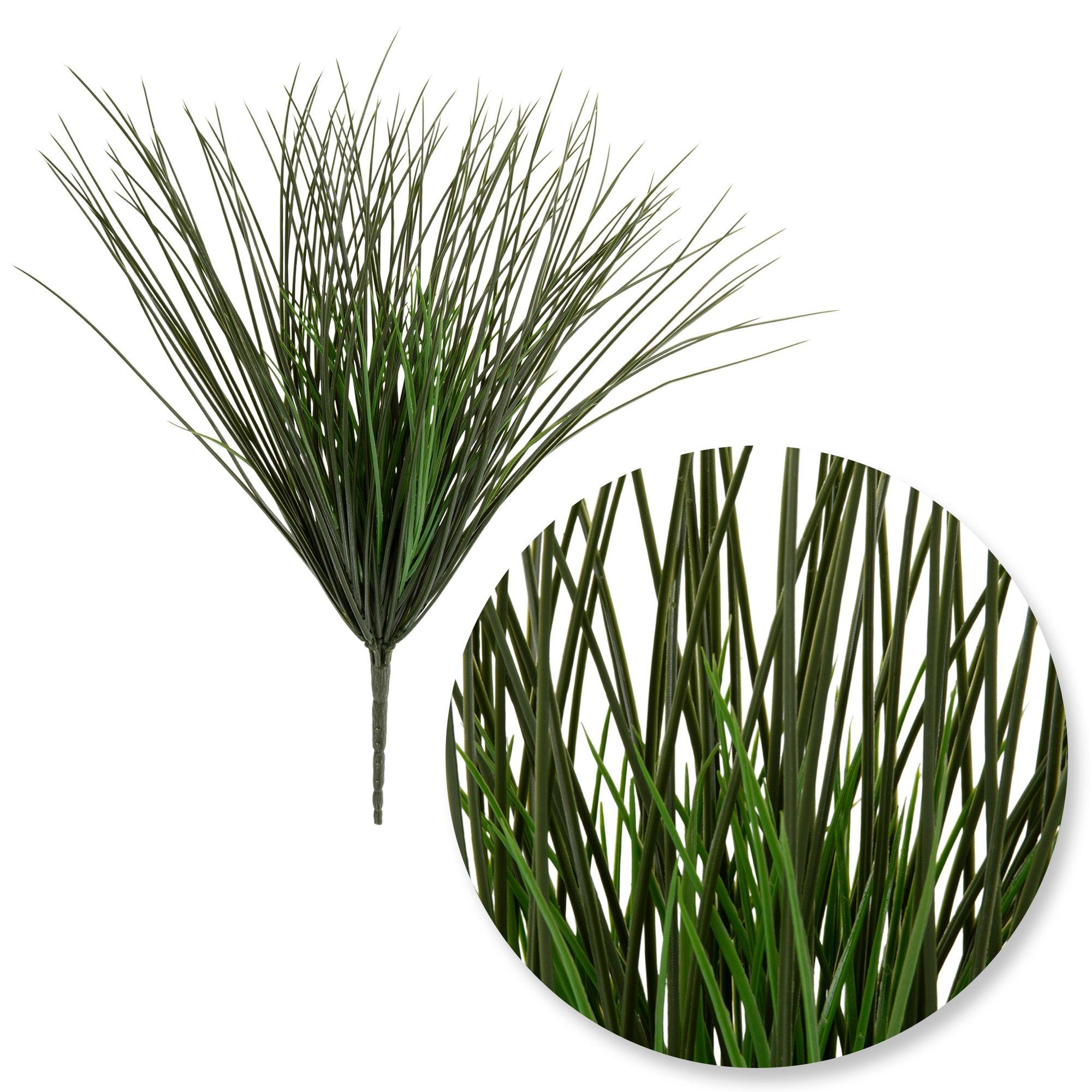Monkey Grass Bush view 1