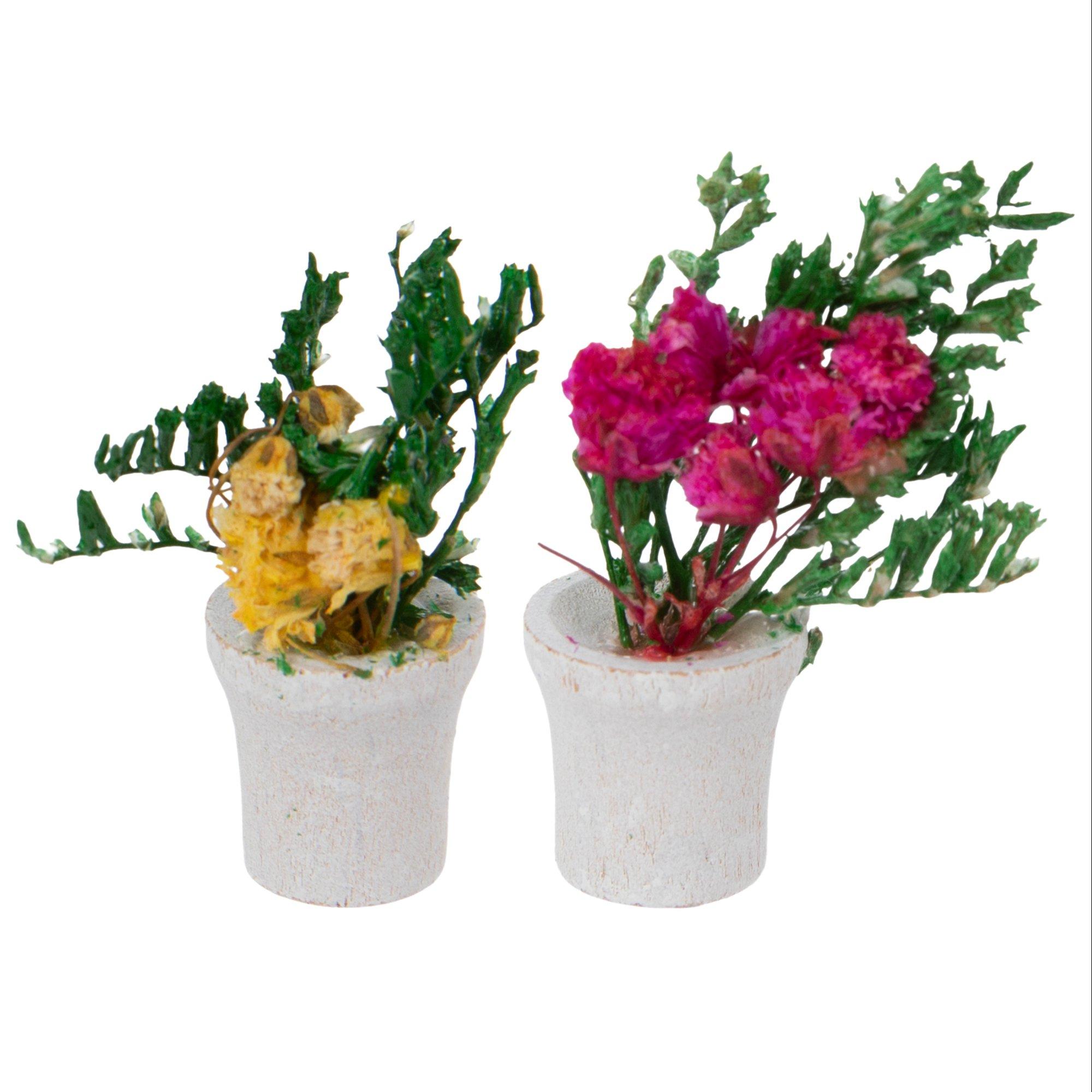 Miniature Potted Plants view 1