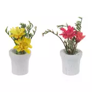 Miniature Potted Plants