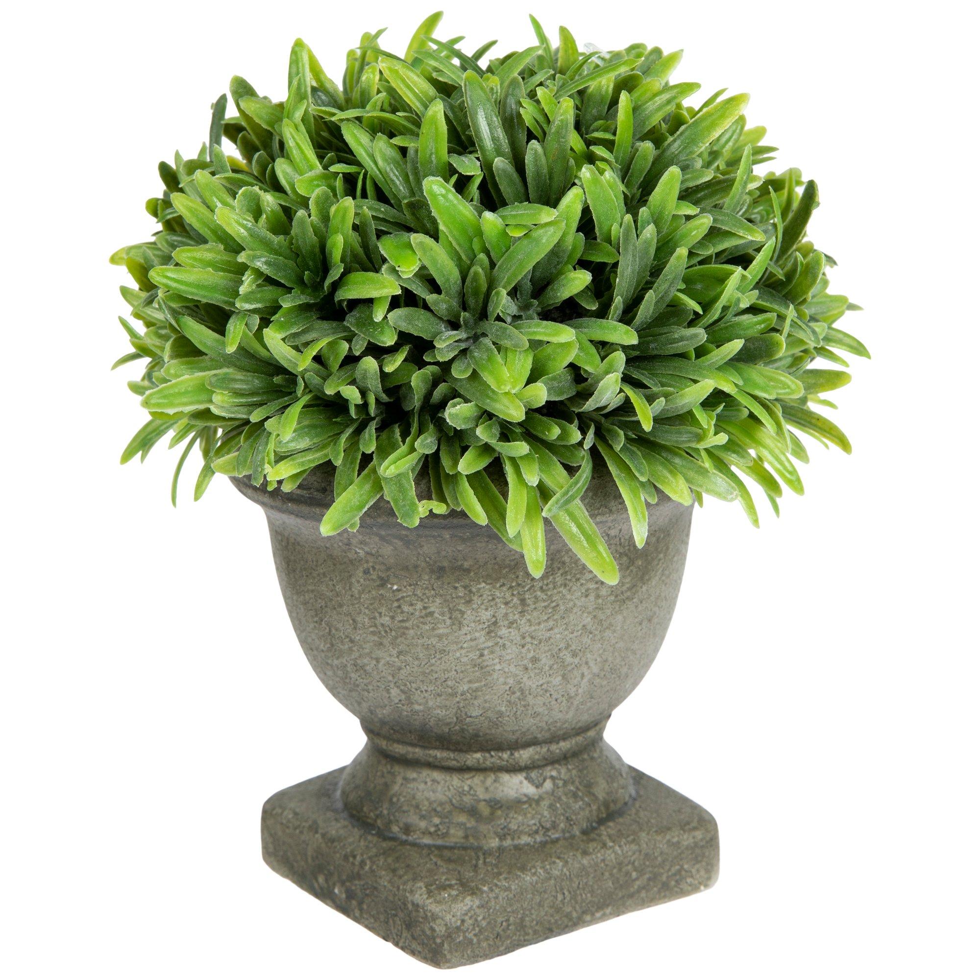 Green Rosemary In Urn Hobby Lobby 731034   731034 55949 IMGSET