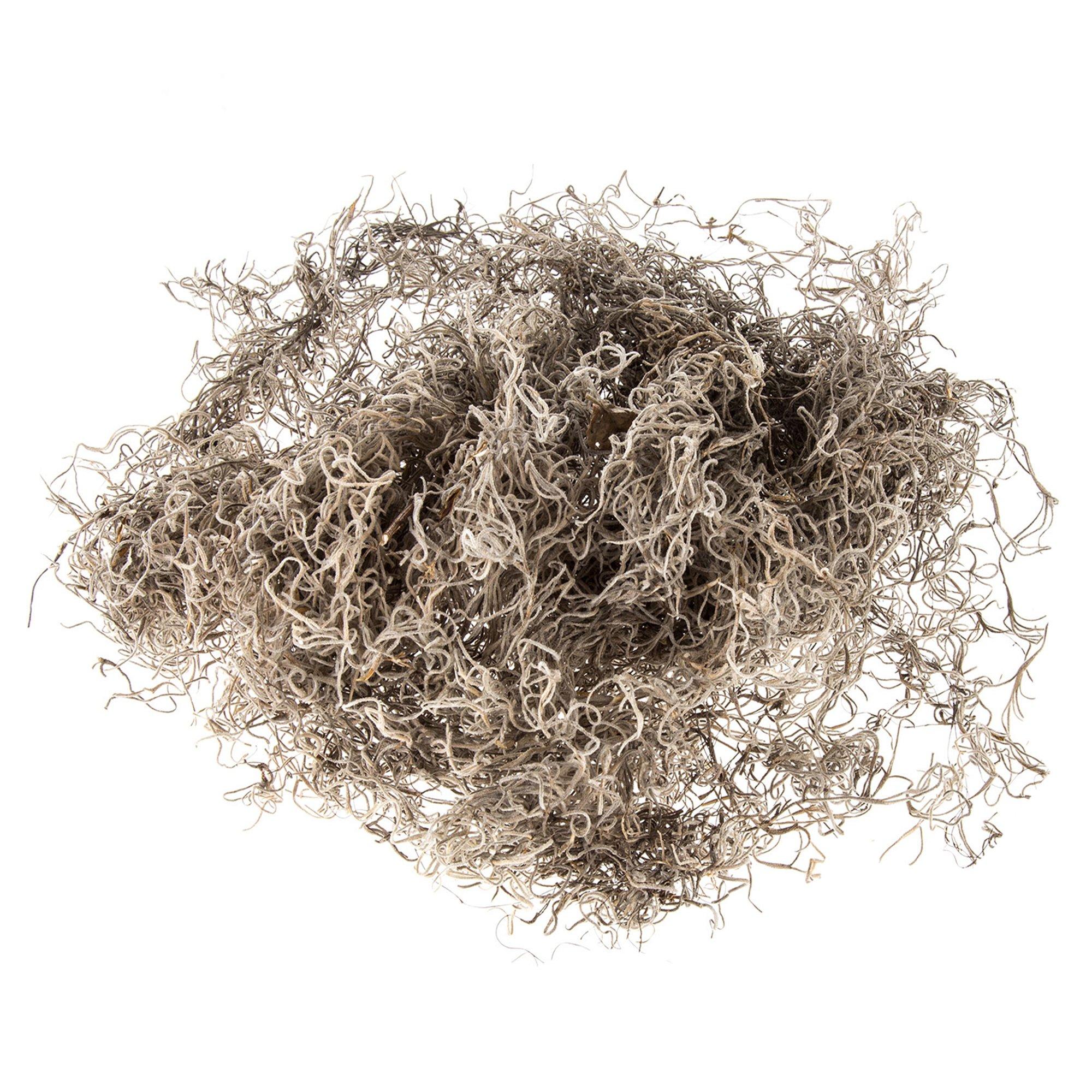 Natural Spanish Moss Hobby Lobby 731653
