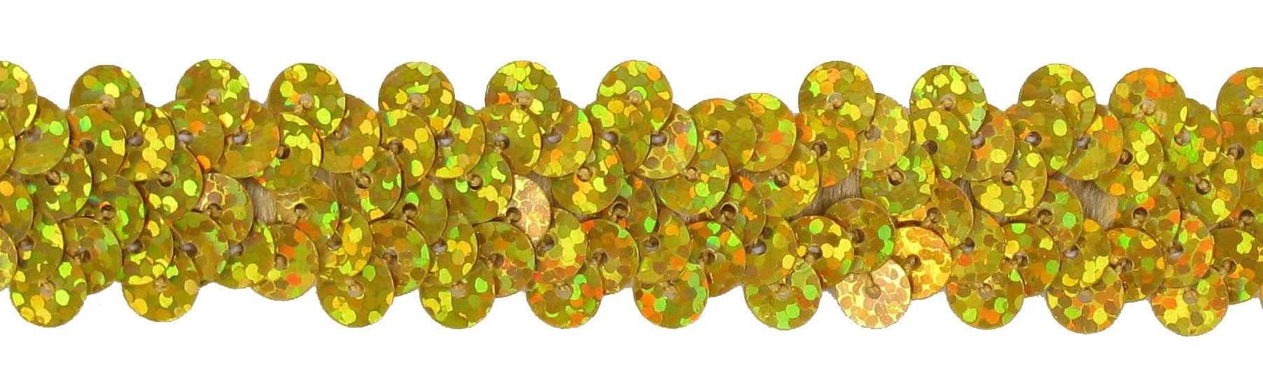 Stretch Sequin Trim Hobby Lobby 743161