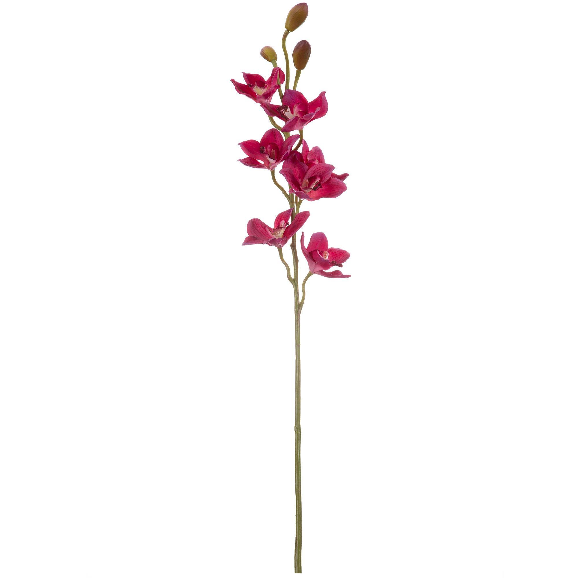 Cymbidium Orchid Stem Hobby Lobby 743252