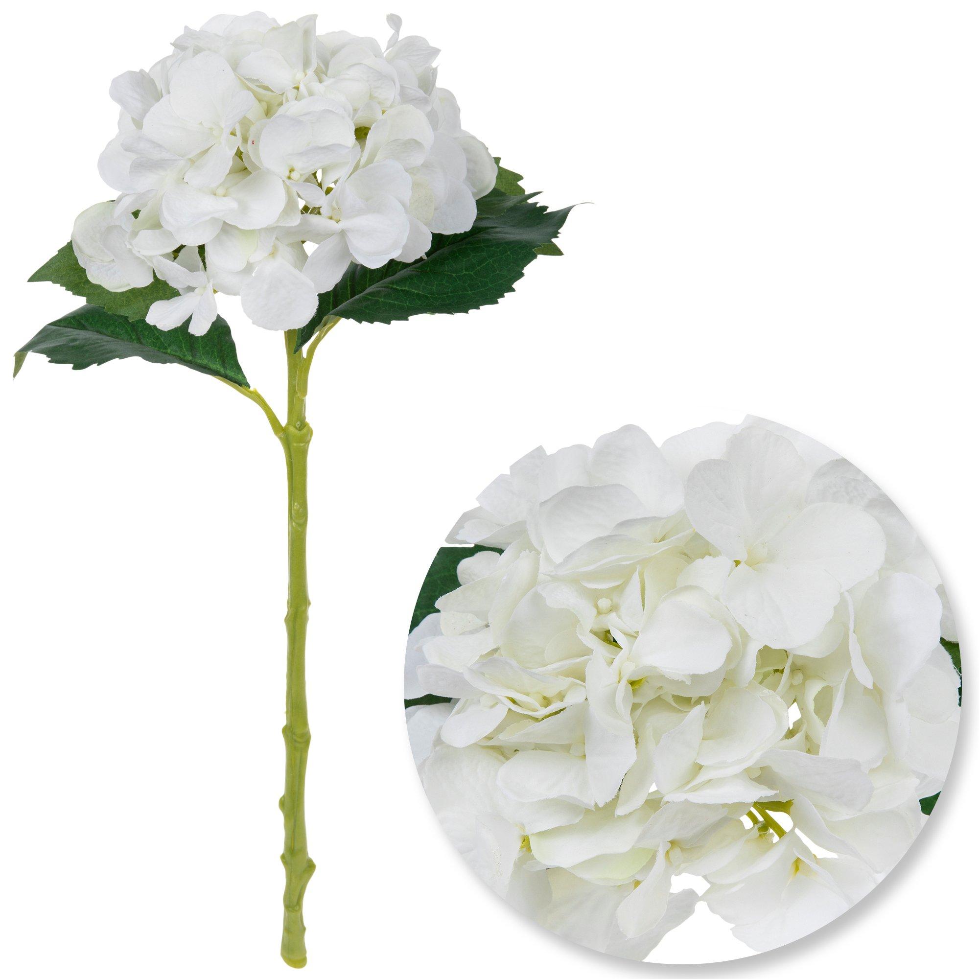 Selected Product Image