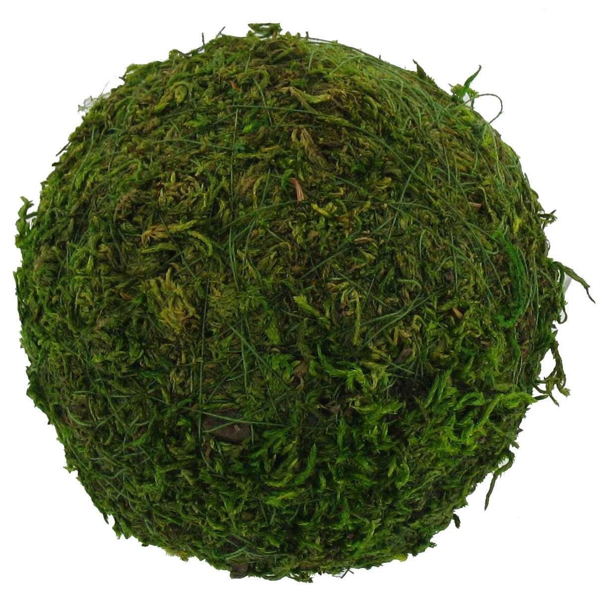 Moss Ball Hobby Lobby 744409